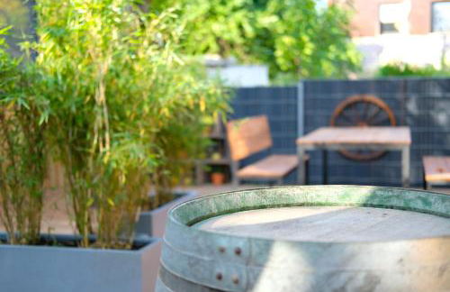 Iguana - Das Tiny Haus am Reptilienzoo Reptilium - Foto 44