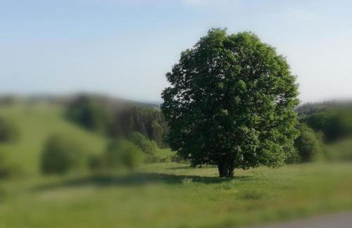 Family Comfort in Güntersberge - Foto 22