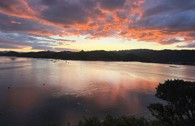 Tairua Treasure - Foto 15