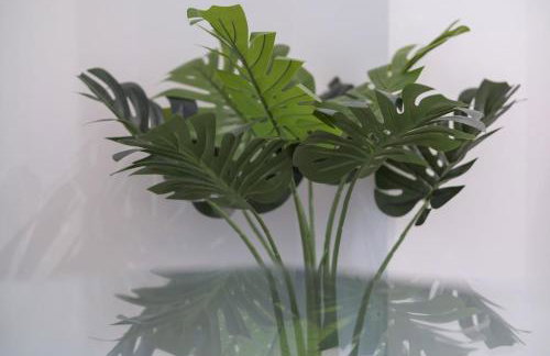 5 Stockland Street - Foto 24