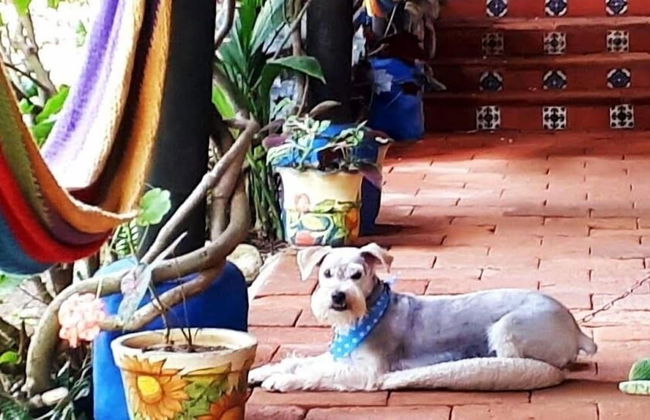 Cabañas Villa San Miguel - Photo 14