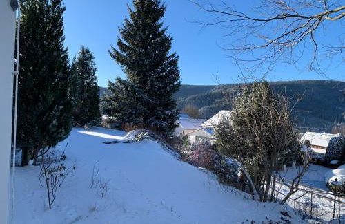 Lichtblick unter der Buche - Foto 15