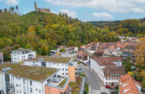 LIT LIVING Weinheim Altstadt - Boutique Apartments - Parking - Foto 28