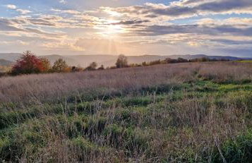 Michałówka Michaelhof - Foto 75