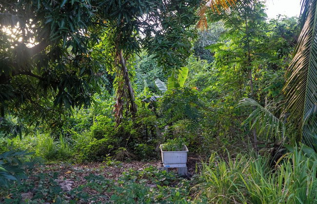 LambLion Holiday Apartments - Photo 57