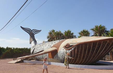 Casa on large property with private Pool - Foto 22