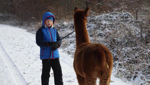 Schauerhof - Photo 3