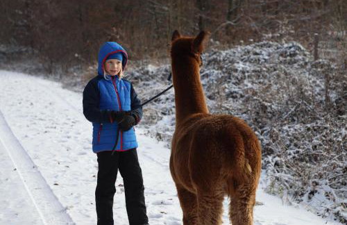 Schauerhof - Photo 3