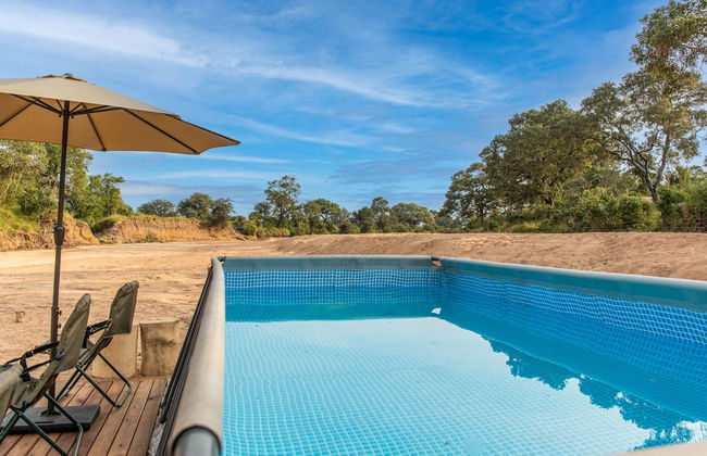 Kruger Untamed - Tshokwane River Camp - Photo 19