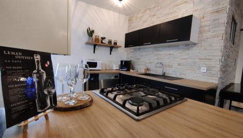 Appartement Hyper Centre Evian - Leman Odyssey - Foto 5, dishwasher, pet friendly, toaster, minibar