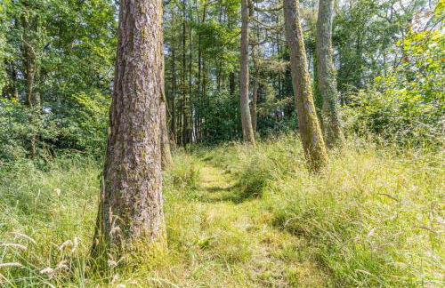 3 Bed in Llwynygroes oc-t29715 - Photo 21