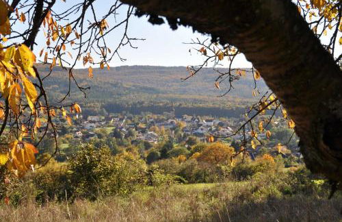 FEWO Geisbergblick - Foto 7