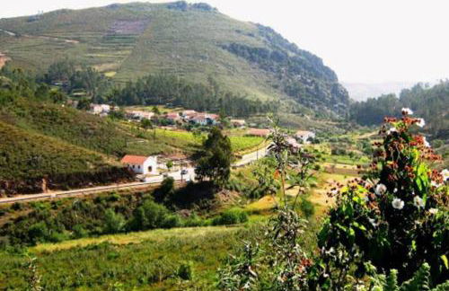 Palheirinho - Foto 29