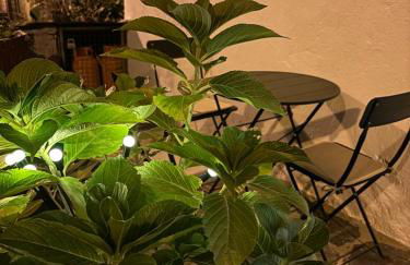 Encanto de Xisto - Foto 22