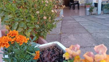 Da Francesca - Foto 4