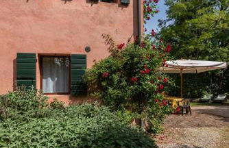 Country house pisani 120SQM - Photo 18