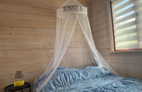 Siedlisko u Agi - Foto 27