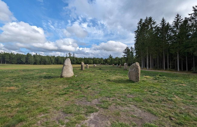 8 Person Holiday Home in Farvang - Photo 18