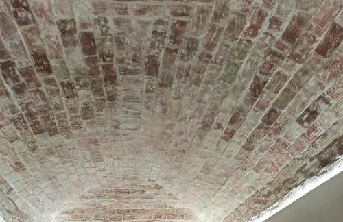 Fico D'India - Foto 10