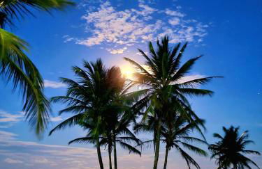 Navona beach - Casa de Praia com Piscina - Photo 26