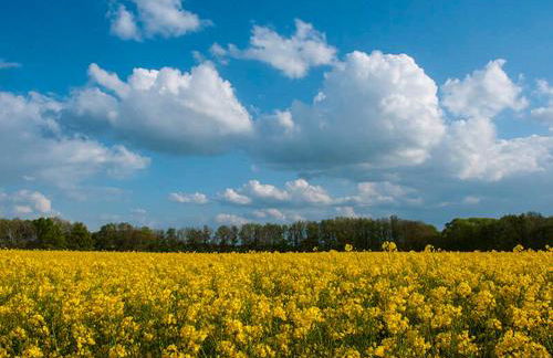 Ferienhaus Ostseewind - ABC583 - Foto 19