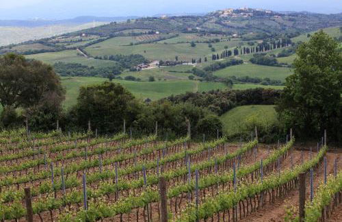 Agriturismo Belvedere Di Pierini E Brugi - Foto 35