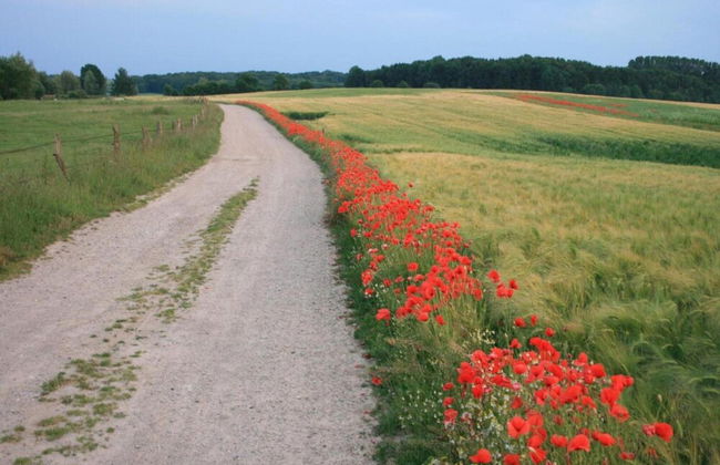 Gemuetliche Wohnung in Kluetz mit Garten - Foto 19