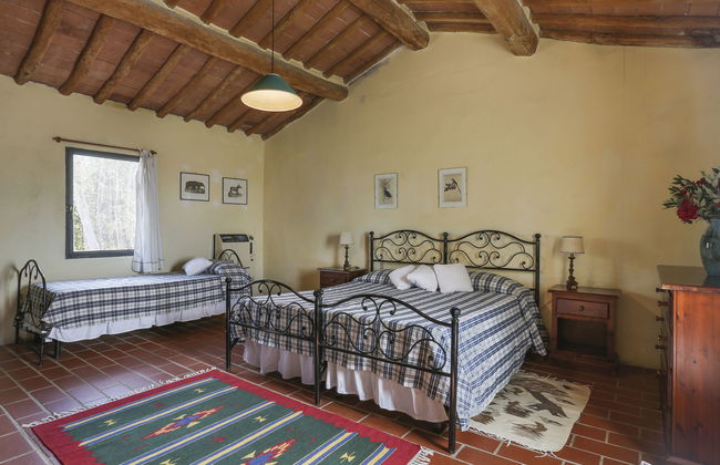 Favilli (PAA130) - Foto 16