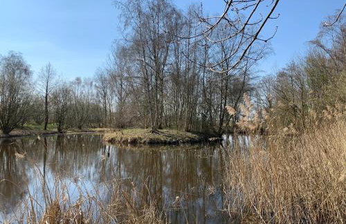 Eiderperle - Foto 65