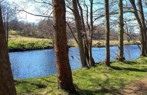 The Studio At Westfield - Photo 15