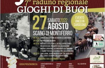 Appartamento-L'elicriso - Foto 36