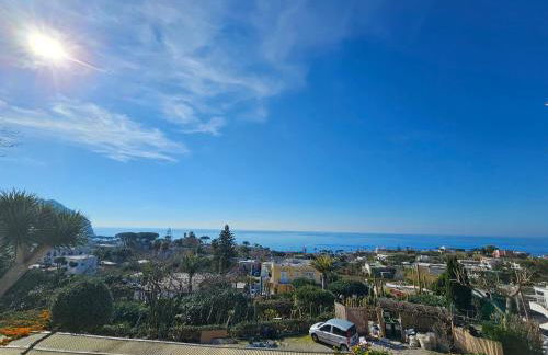 Residence Limoneto Ischia - Foto 75