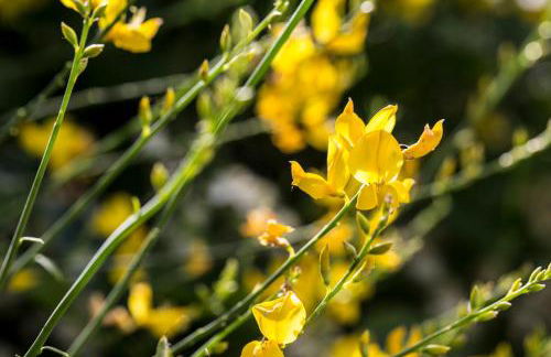 Casali Costadoro - Foto 83