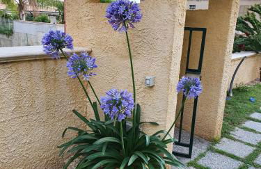Residenza Laura Casa Vacanze Capo Vaticano - Foto 41