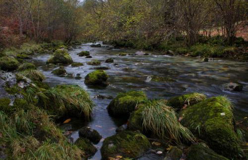 Apartamentos la Regoria - Foto 57