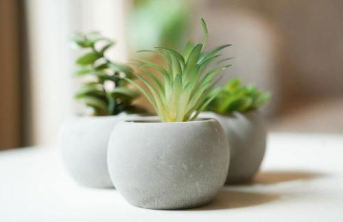 101-Freiburg - 2 Appartements - Foto 8