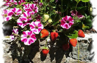 Casa Vacanze Family - Foto 24