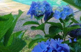 Slow House y La cabaña de Miss Slower - Foto 69