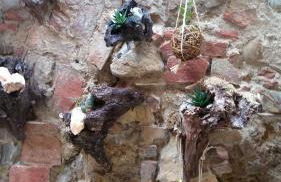 Casa Giulia on Francigena - Foto 49