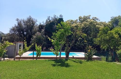 Casa das Guimarães - Photo 6