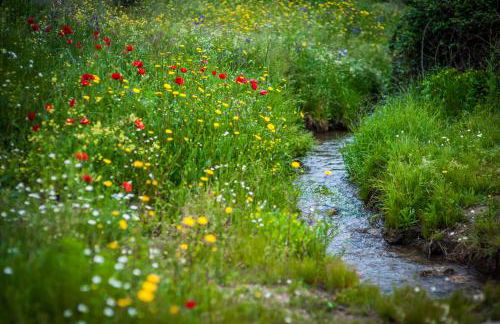 La casita de Ra - Foto 50