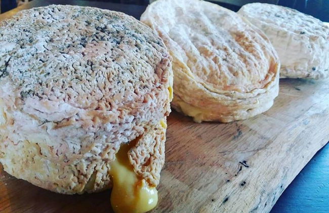 Agriturismo di Charme e Ristorante Stallato Il Filo di Paglia - Photo 84