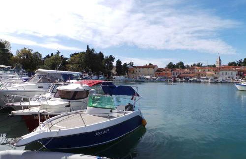 Apartment Pridraga 1 - Photo 5