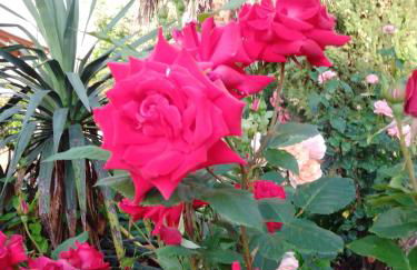 Apartment Meyerhof - Foto 14