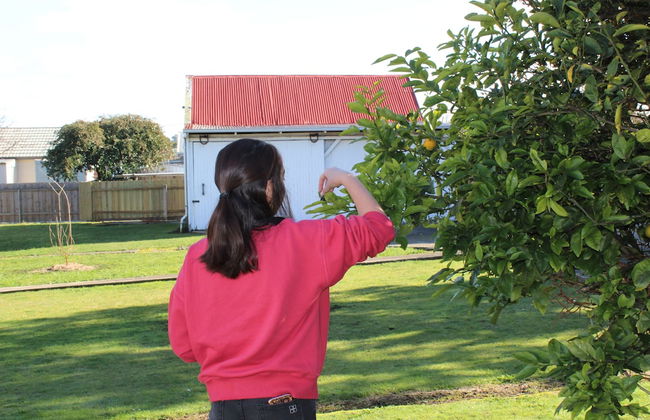 Signature on Gunn - Foto 22