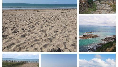 Appartement 2 pieces - Photo 4