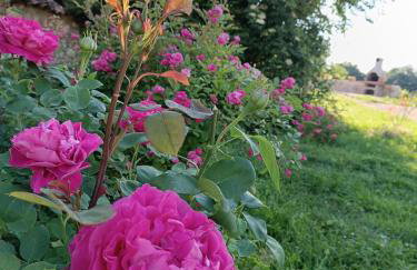 Âme de la nature - Foto 24