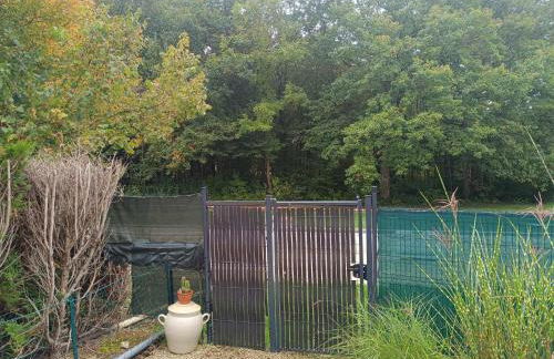 La Cachotière du Lac - Foto 8