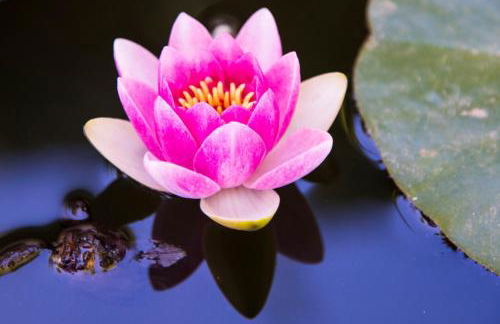 La Casetta - Foto 22