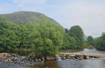 Regina apartment in Fort William - Foto 46